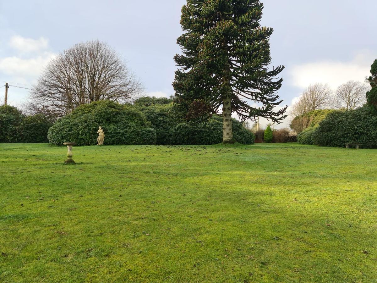 Balcary Bay Country House Hotel Auchencairn Extérieur photo